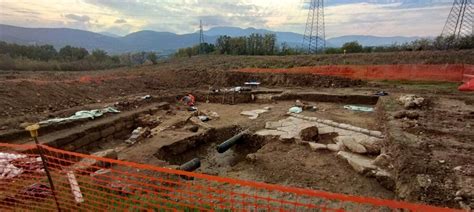 Reperti storici del maiale