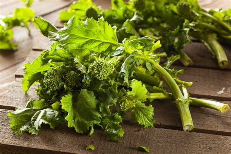 Ricette con Cime di Rapa