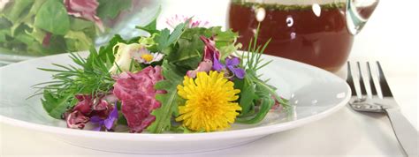 Ricette con Erbe Spontanee