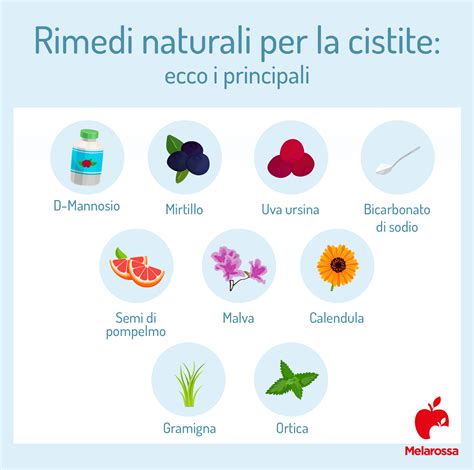 Rimedi naturali per la cistite