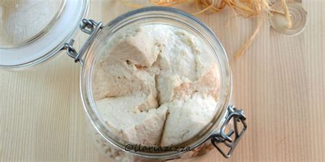 Rinfresco Pasta Madre