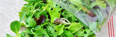 Rischi insalata in busta