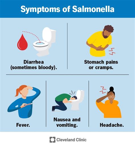 Salmonella
