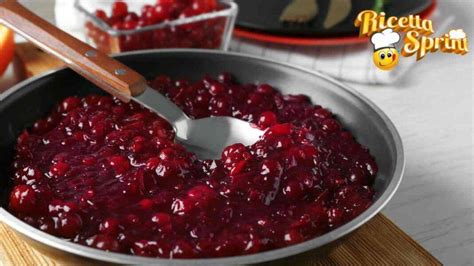 Salsa ai Mirtilli Rossi