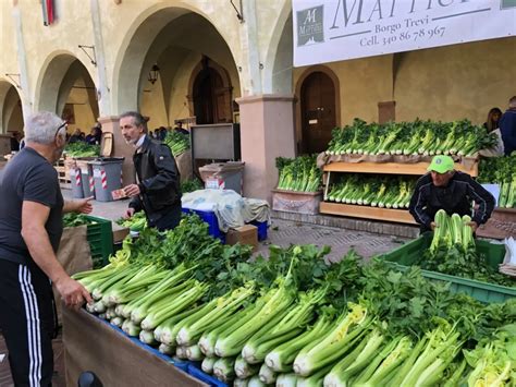 Sedano Nero di Trevi