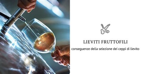 Selezione dei ceppi di lievito per vino