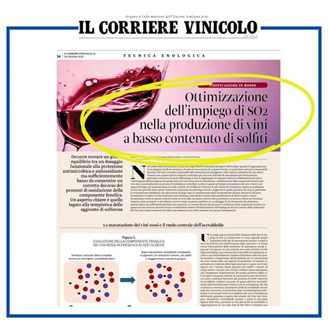 Sfide dell'enologia moderna