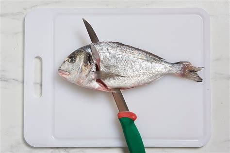 Sfilettare l'orata