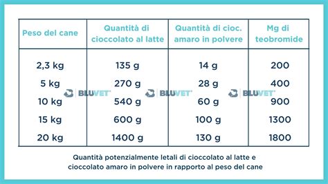 Sintomi di avvelenamento da cioccolato nel cane