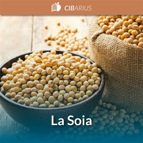 Soia