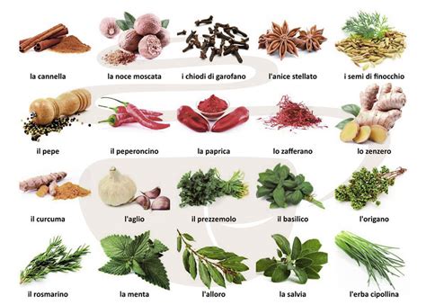 Spezie ed erbe aromatiche per insaporire la carne