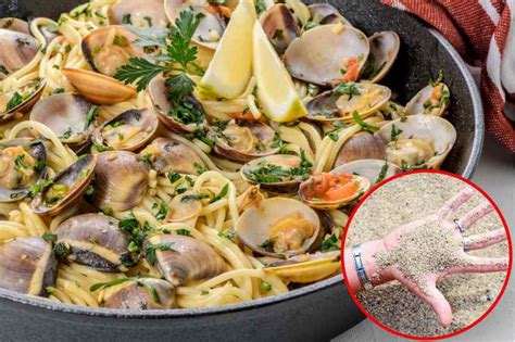 Spurgare le vongole