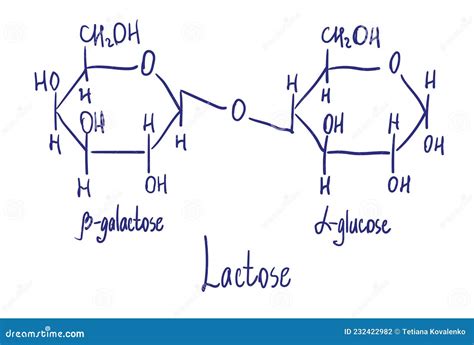 Struttura del Lattosio