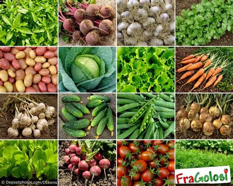 Tabella esposizione ortaggi