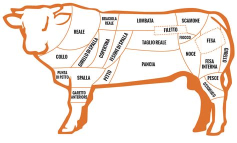 Tagli di carne bovina