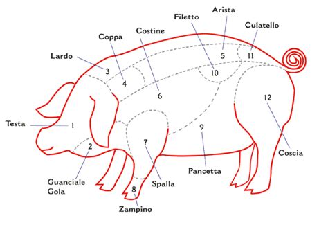 Tagli di carne del suino