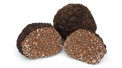 Tartufo Nero