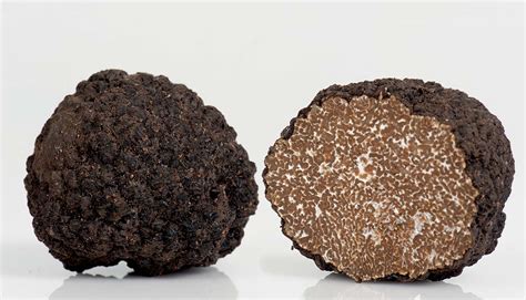 Tartufo Scorzone