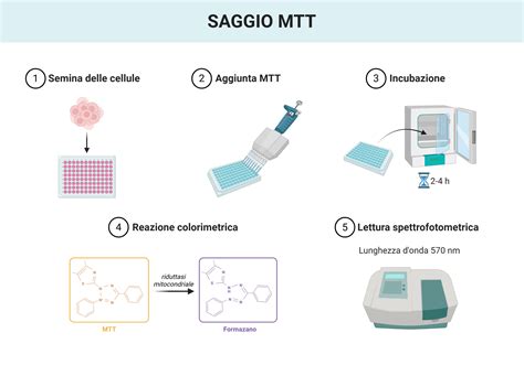 Test di vitalità del lievito