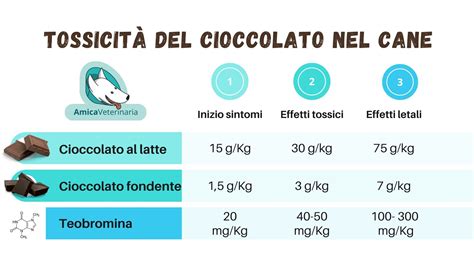Tipi di cioccolato e tossicità