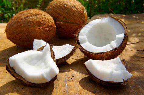Tipologie di Cocco