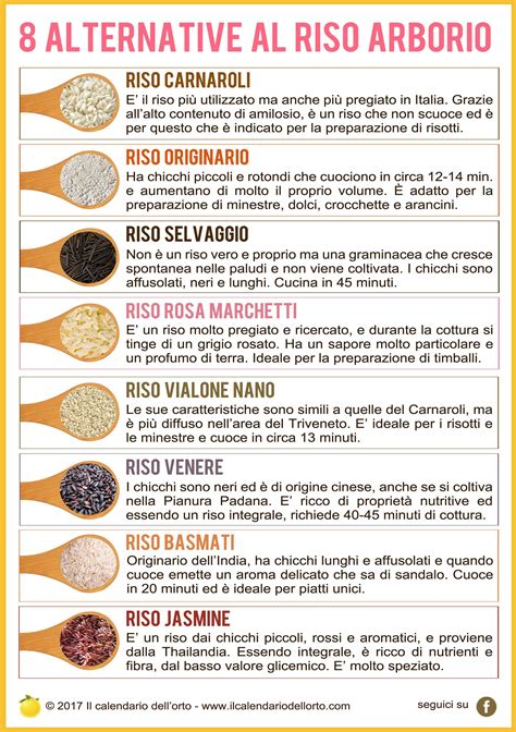 Tipologie di Riso