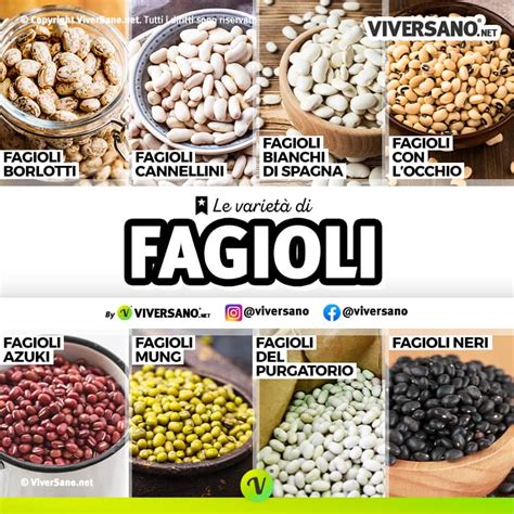 Tipologie di fagioli