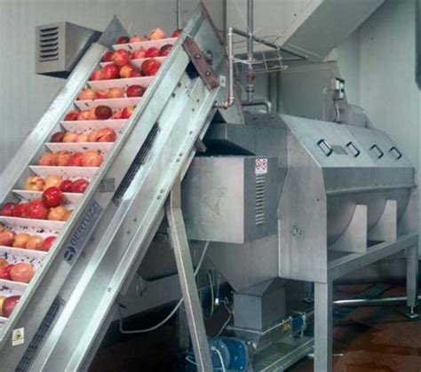 Tipologie di macchine per la lavorazione della frutta