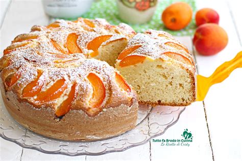 Torta alle Albicocche e Yogurt