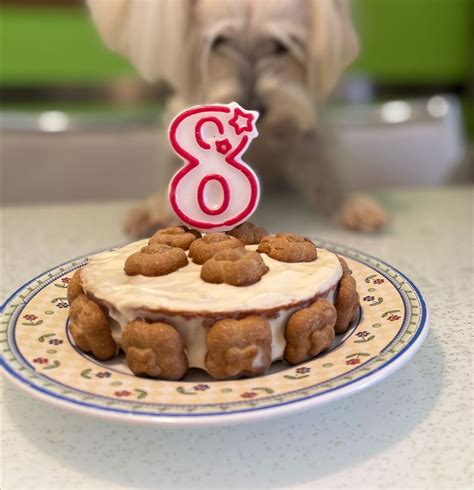 Torta per Cani