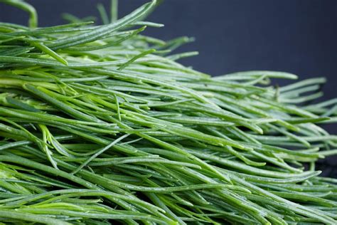 Trapianto Barba dei Frati