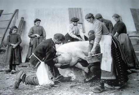 Uccisione del maiale