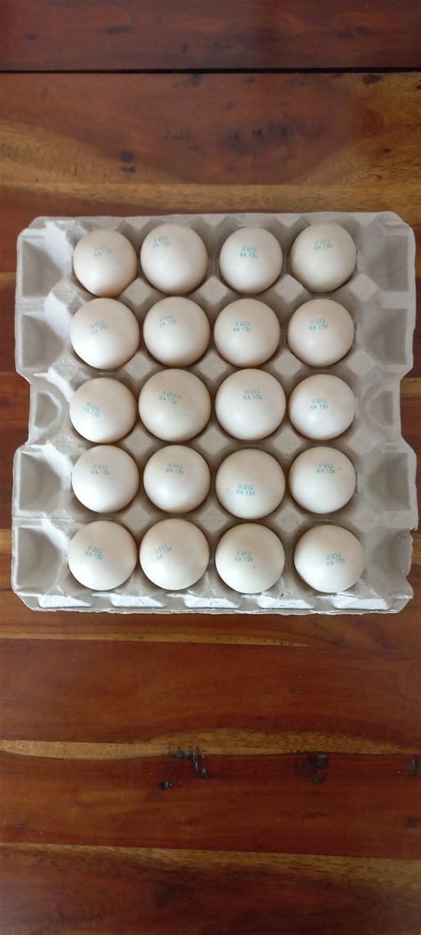 Uova di anatra azienda Bartolotti