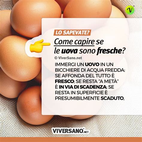 Uova fresche e scadute