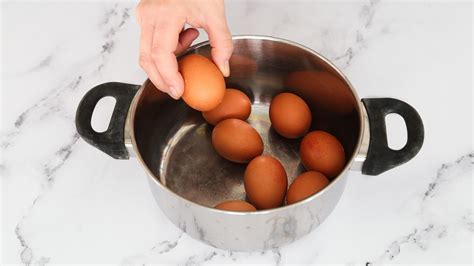 Uova sode che cuociono in una pentola