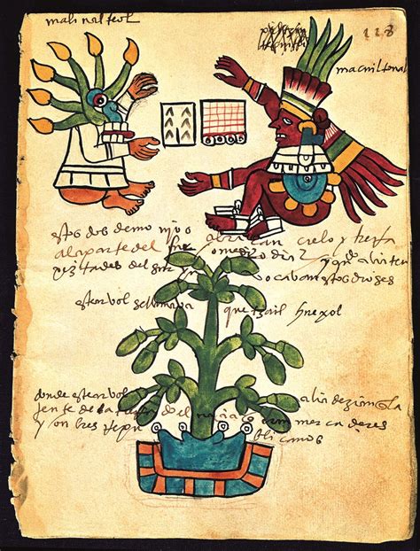 Utilizzo del cacao per gli Aztechi