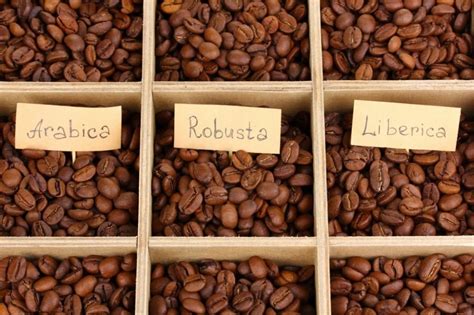 Varietà di Caffè