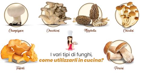 Varietà di Funghi