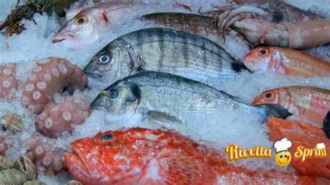Varietà di Pesce Surgelato