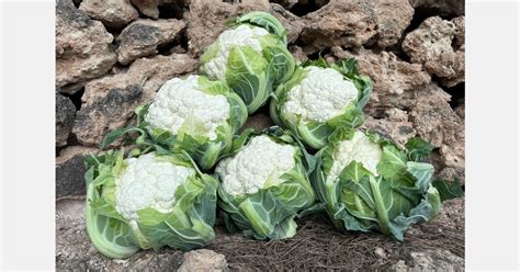 Varietà di cavolfiore