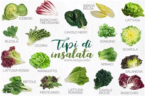 Varietà di insalata