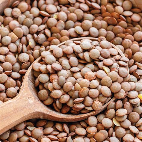 Varietà di lenticchie
