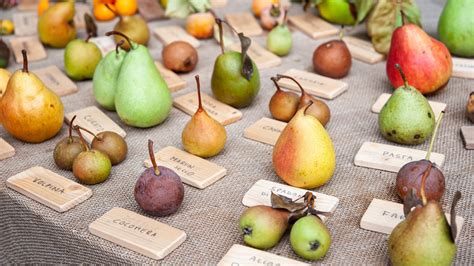 Varietà di pere