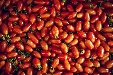 Varietà di pomodorini