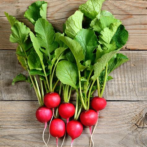 Varietà di ravanelli