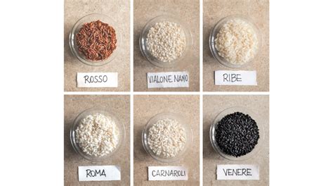 Varietà di riso per insalata