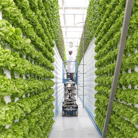Vertical Farming