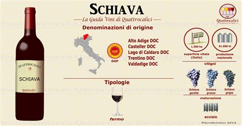 Vino Schiava