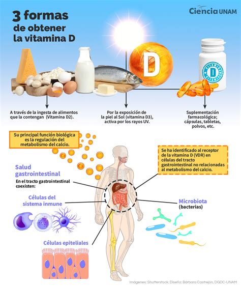 Vitamina D