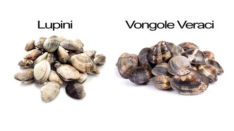 Vongole Veraci e Lupini